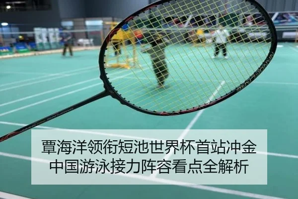 覃海洋领衔短池世界杯首站冲金 中国游泳接力阵容看点全解析